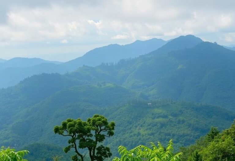 Top 10 Places to Visit in Wayanad: Explore the Beauty of Kerala's Hill Station